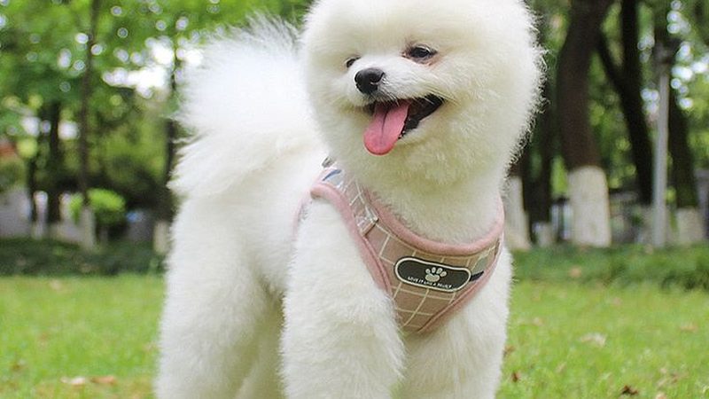 医药冷库安装合同模板：关键条款解析及注意事项**
