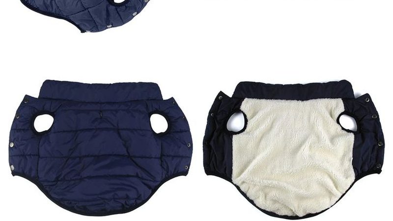 风冷冷水机组价格解析：揭秘影响价格的关键因素**